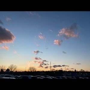 Meet your Posher, Hector